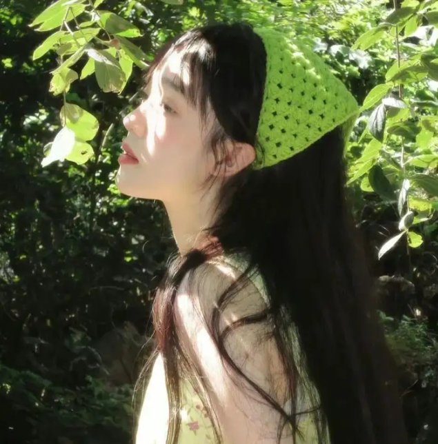 大宋有奇案