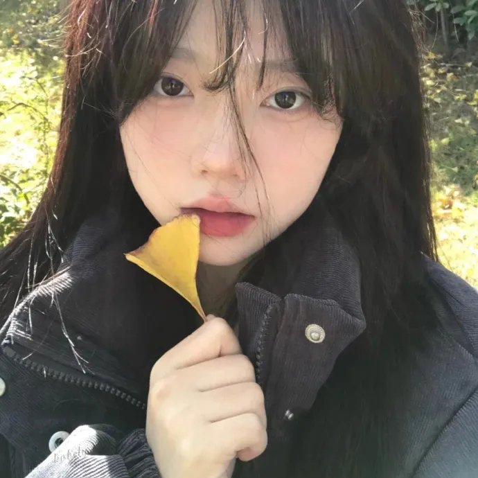 黑木