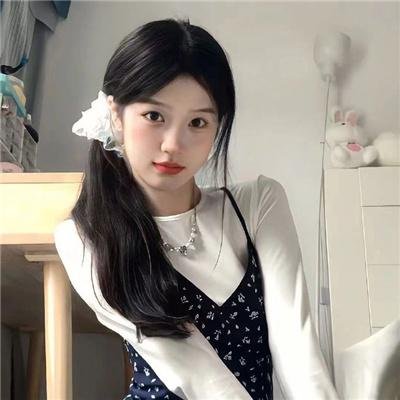继承者风云